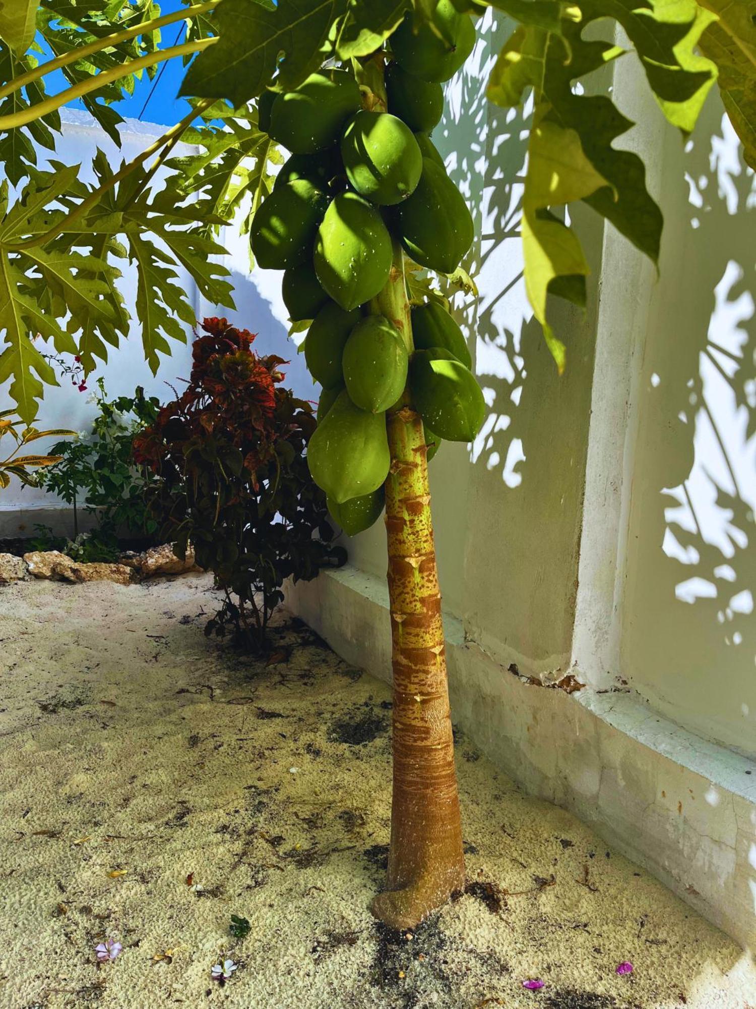 Sabali Lodge, Zanzibar ジャンビアニ エクステリア 写真