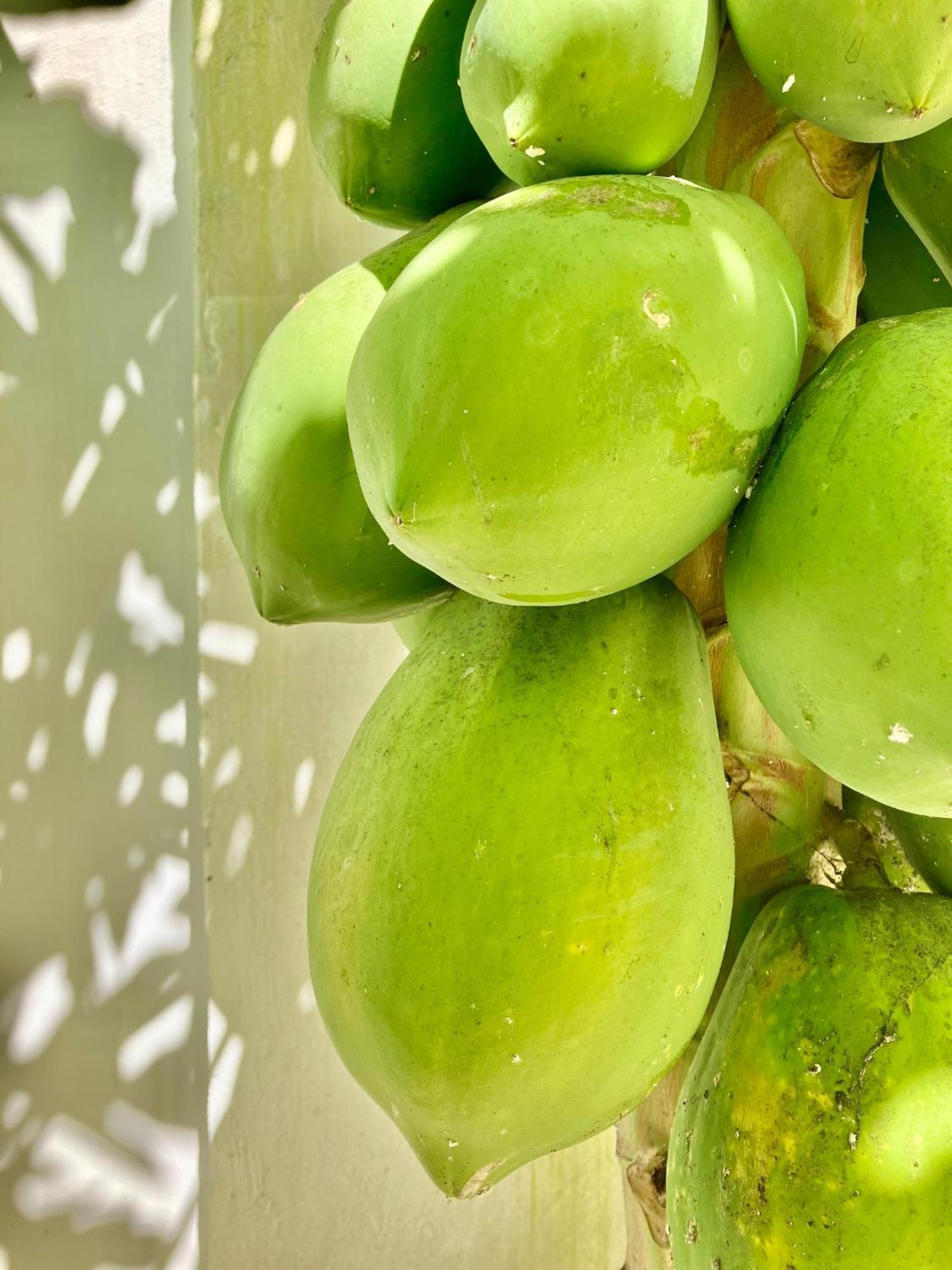 Sabali Lodge, Zanzibar ジャンビアニ エクステリア 写真